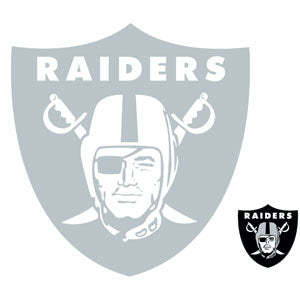 NFL Las Vegas Raiders Double Vision Nintendo Switch Lite Skin